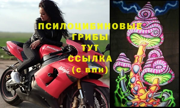 стафф Инсар