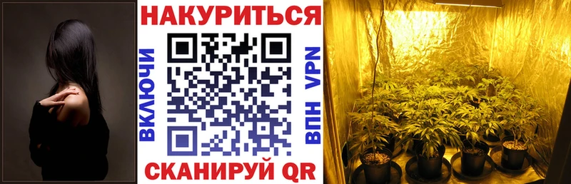 Купить  Пудож  Шишки марихуана AK-47 